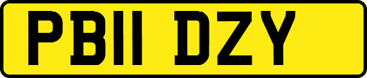 PB11DZY