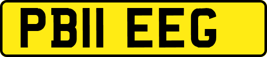 PB11EEG