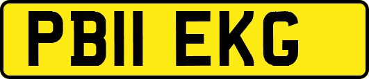 PB11EKG