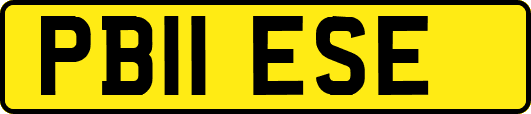 PB11ESE