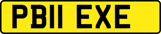 PB11EXE