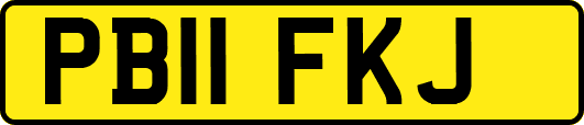 PB11FKJ