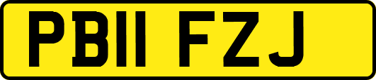 PB11FZJ