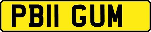 PB11GUM