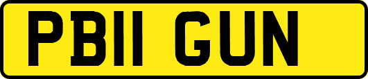 PB11GUN