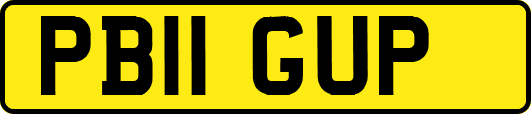 PB11GUP