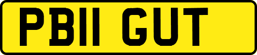 PB11GUT