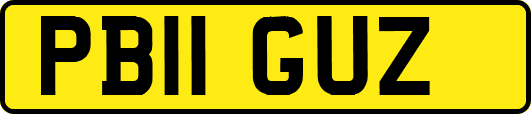 PB11GUZ