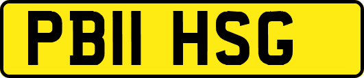 PB11HSG