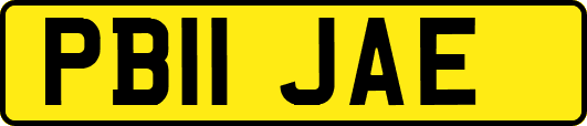 PB11JAE