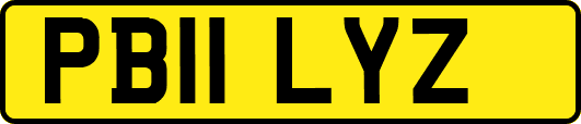 PB11LYZ