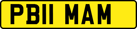 PB11MAM