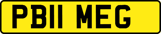 PB11MEG