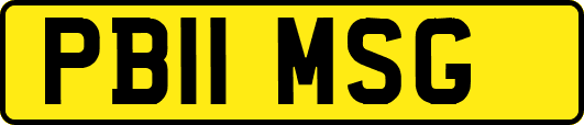 PB11MSG