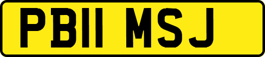 PB11MSJ