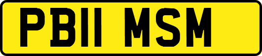 PB11MSM