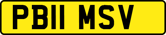 PB11MSV