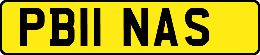 PB11NAS