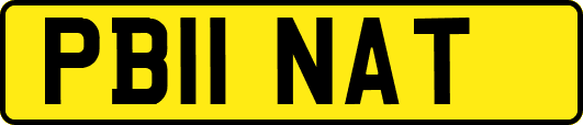 PB11NAT