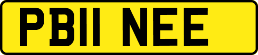 PB11NEE