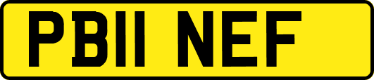 PB11NEF