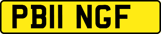 PB11NGF