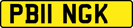PB11NGK