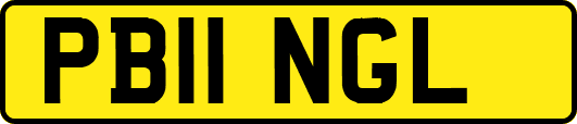 PB11NGL
