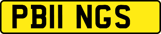 PB11NGS