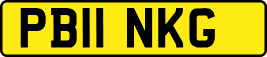 PB11NKG