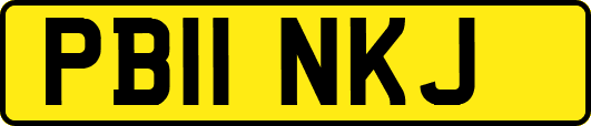 PB11NKJ