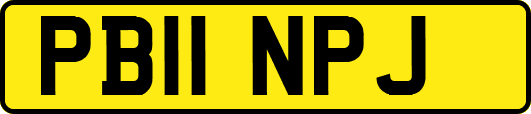 PB11NPJ
