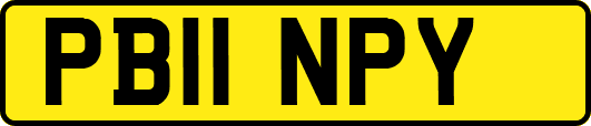 PB11NPY