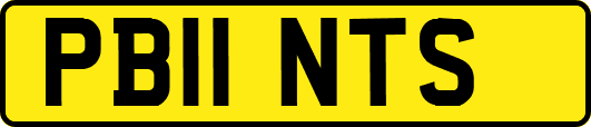 PB11NTS