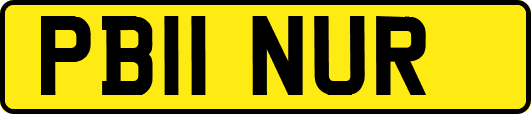 PB11NUR