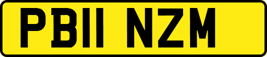 PB11NZM