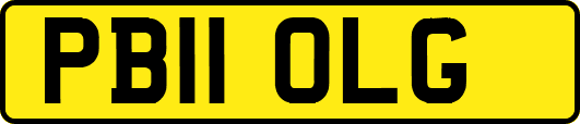 PB11OLG