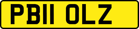 PB11OLZ