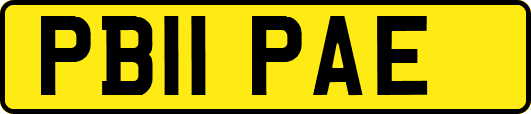 PB11PAE