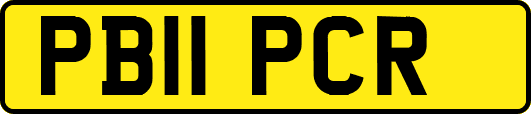 PB11PCR