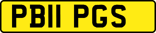 PB11PGS