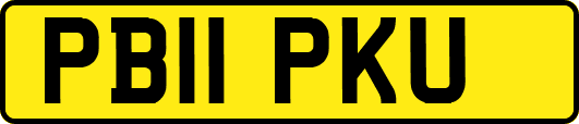 PB11PKU