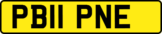 PB11PNE