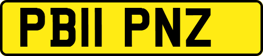 PB11PNZ
