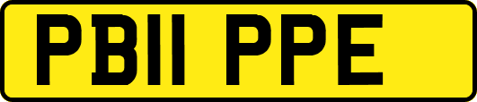 PB11PPE