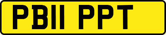 PB11PPT