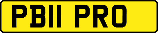 PB11PRO