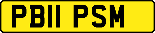 PB11PSM
