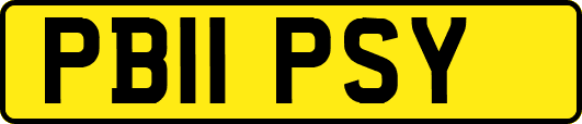 PB11PSY