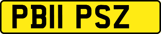 PB11PSZ
